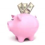 Bank botox small pig pic